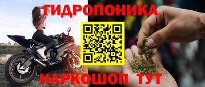 шишки Рыбинск