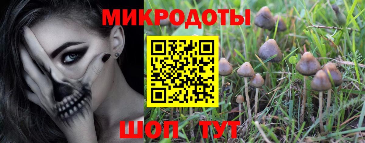 Орехово-Зуево  что такое наркотик  Вход с VPN  Галлюциногенные грибы MAGIC MUSHROOMS 
